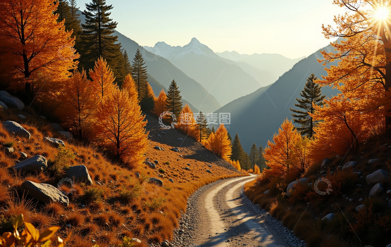 高清大图下载【趣麦麦图】秋天枫叶黄了