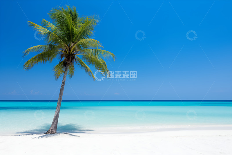 高清大图下载【趣麦麦图】沙滩椰树大海