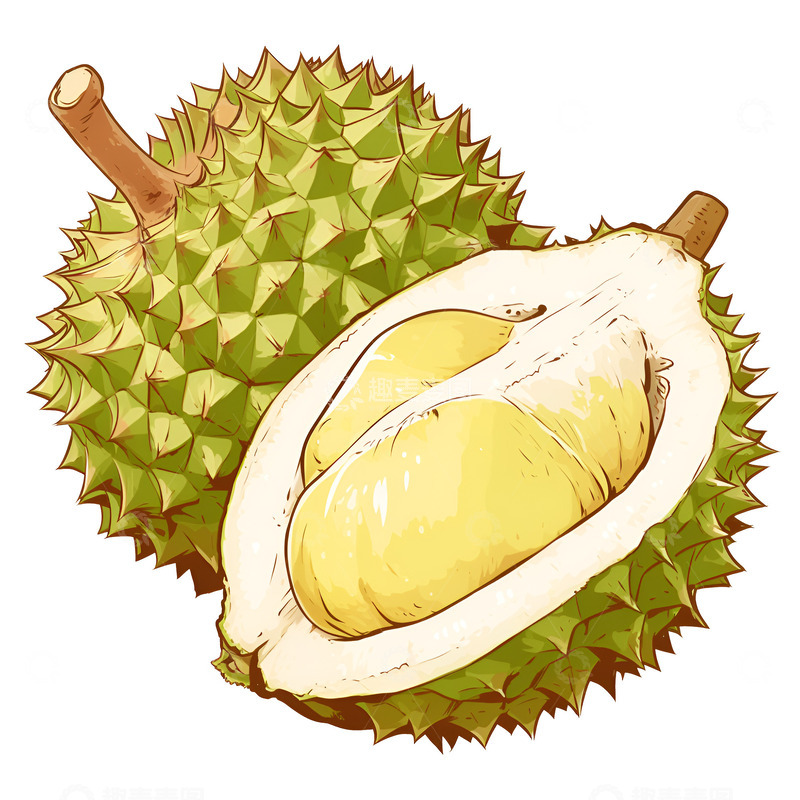 高清大图下载【趣麦麦图】卡通简约两颗榴莲