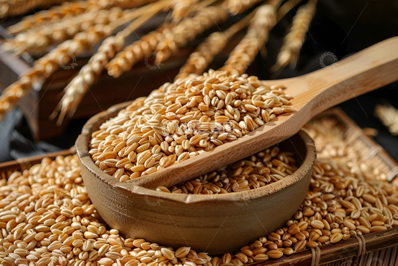 高清大图下载【趣麦麦图】一碗小麦特写摄影