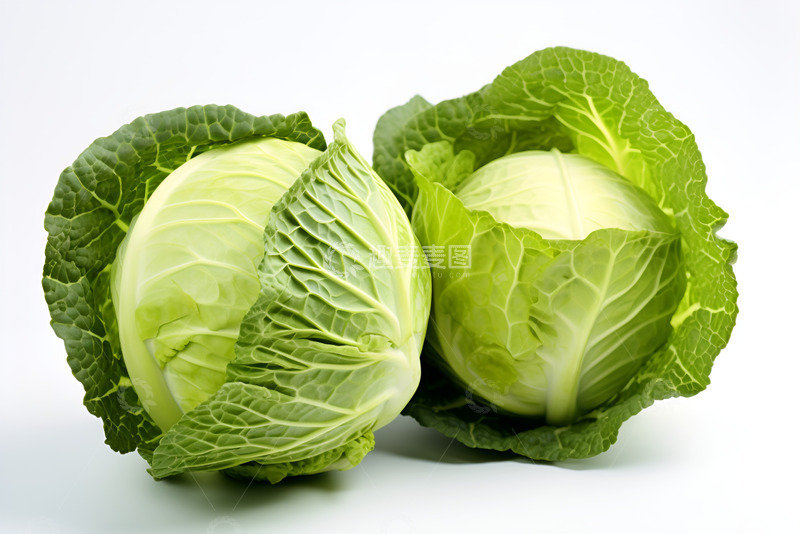 高清大图下载【趣麦麦图】两颗新鲜包菜特写