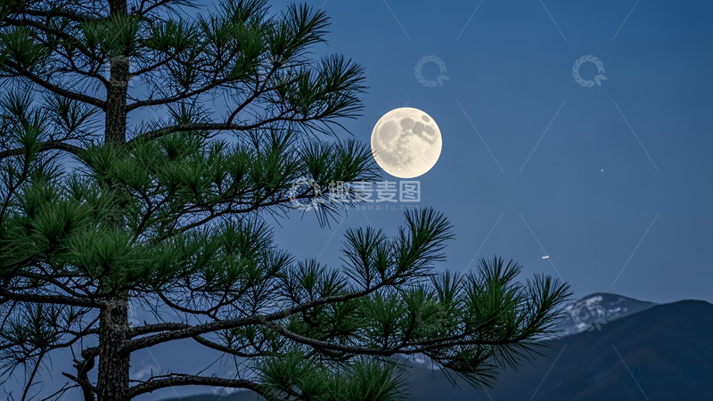 高清大图下载【趣麦麦图】夜晚下的松与月