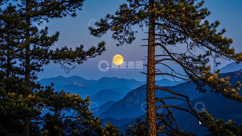 高清大图下载【趣麦麦图】大山松下月下夜