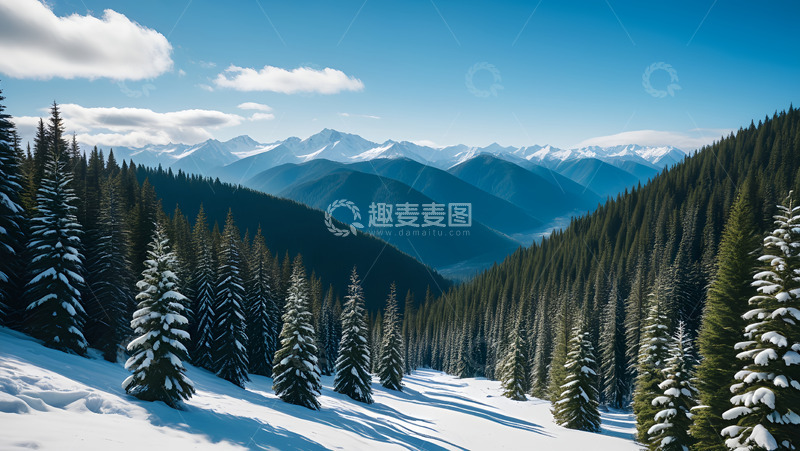 高清大图下载【趣麦麦图】冬季点绿森林