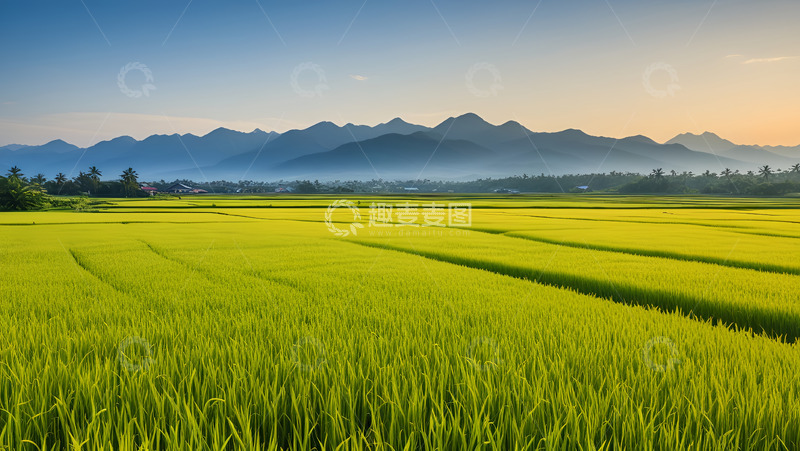 高清大图下载【趣麦麦图】大山清晨的农田