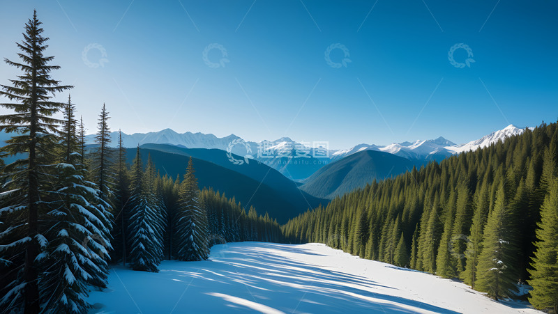 高清大图下载【趣麦麦图】冬季松林大雪