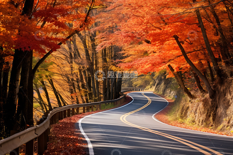 高清大图下载【趣麦麦图】秋季蜿蜒的马路