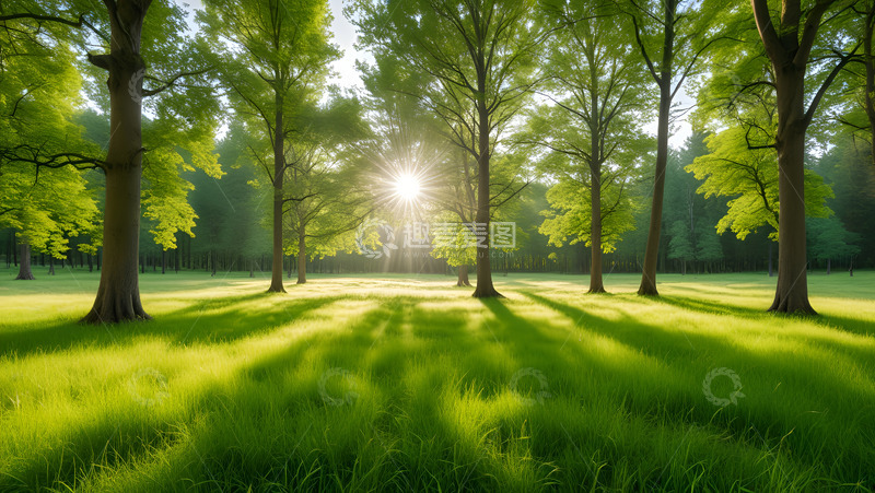 高清大图下载【趣麦麦图】满绿森林草地