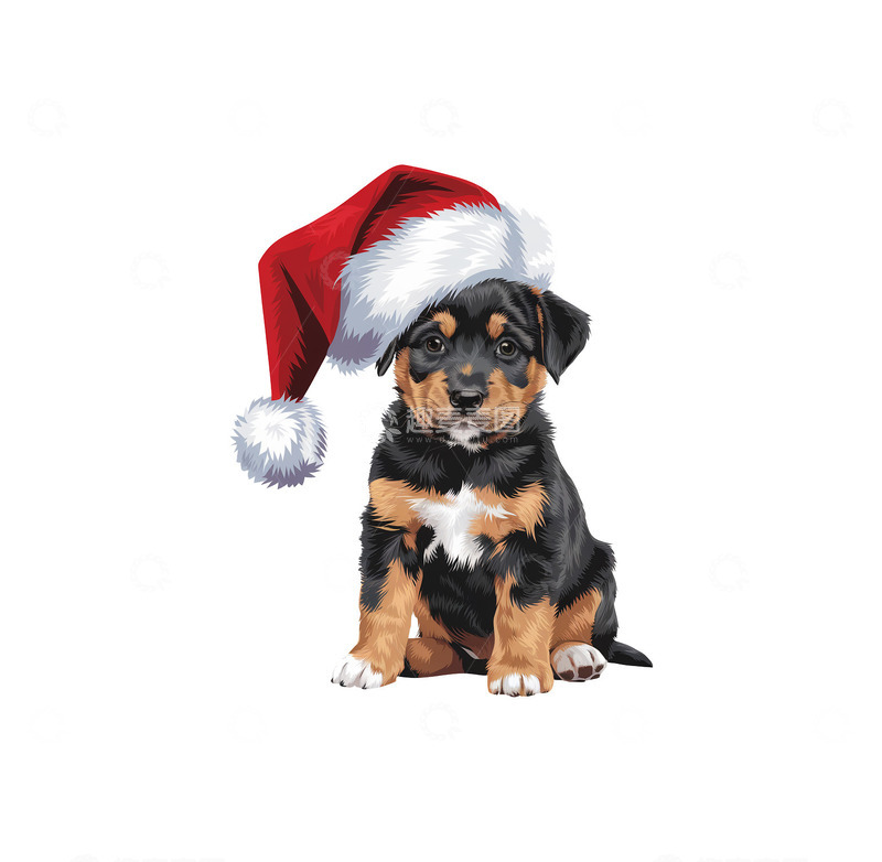 高清大图下载【趣麦麦图】一只乖巧的狗狗带着一只圣诞帽