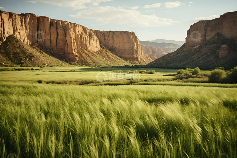 高清大图下载【趣麦麦图】原野蒿草丛山石美景