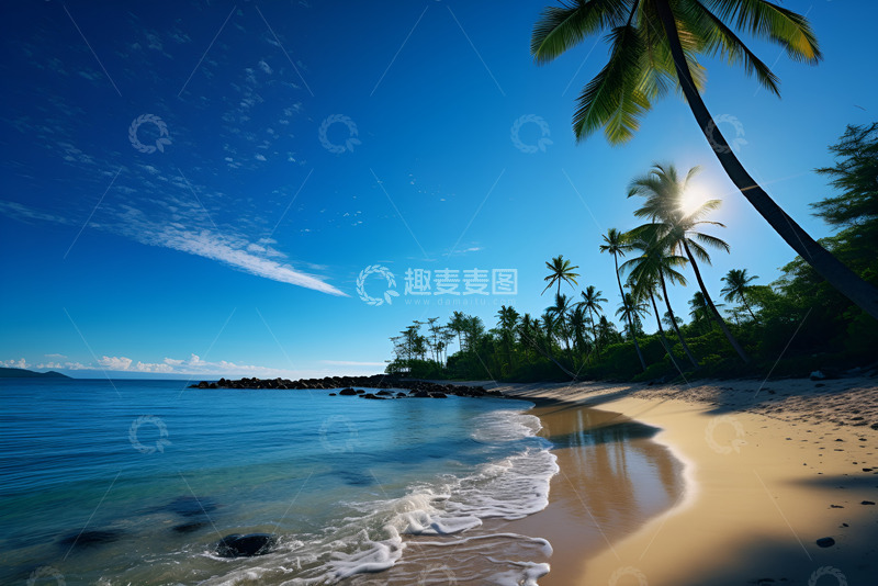 高清大图下载【趣麦麦图】沙滩海边椰树