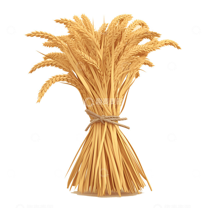 高清大图下载【趣麦麦图】卡通简约一捆麦穗