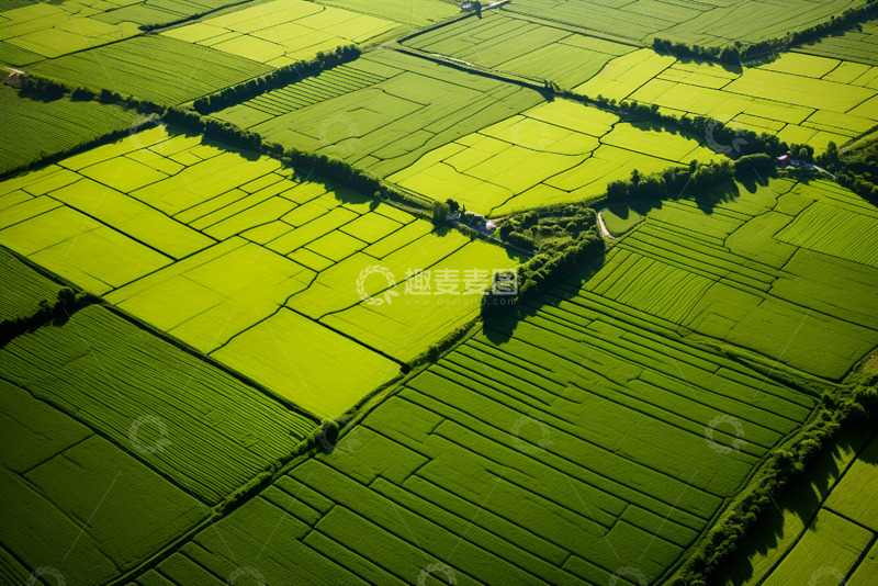 高清大图下载【趣麦麦图】生机勃勃的农田