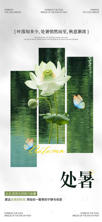 24节气海报设计 1