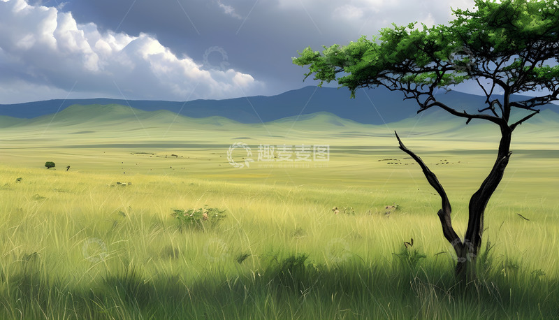 高清大图下载【趣麦麦图】大树白云草原