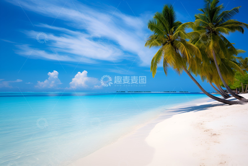 高清大图下载【趣麦麦图】夏季沙滩阳光椰树