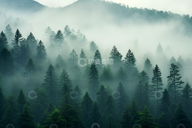 高清大图下载【趣麦麦图】云雾弥漫的森林