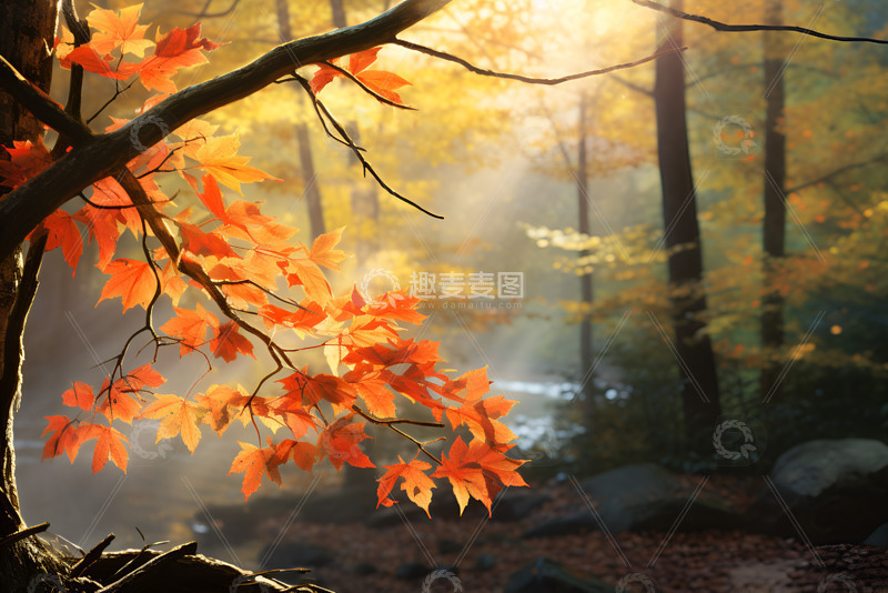 高清大图下载【趣麦麦图】秋季山林美景