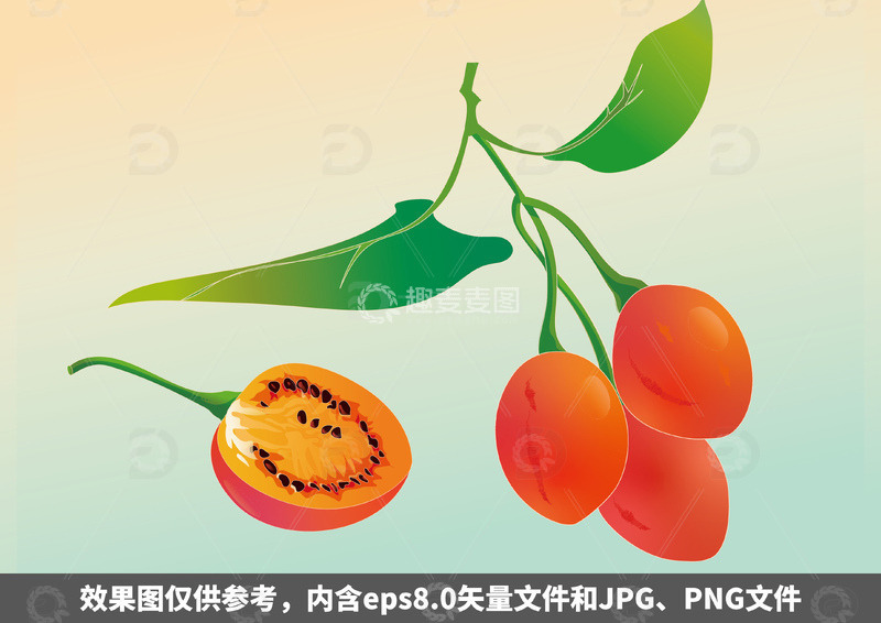 国潮手绘树番茄插画