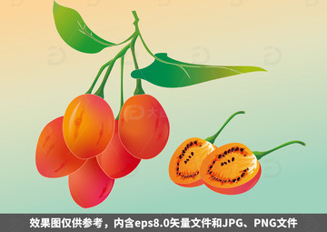 国潮手绘树番茄插画1