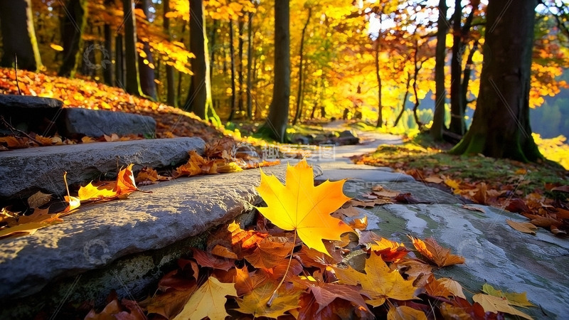 高清大图下载【趣麦麦图】秋天自然风景8