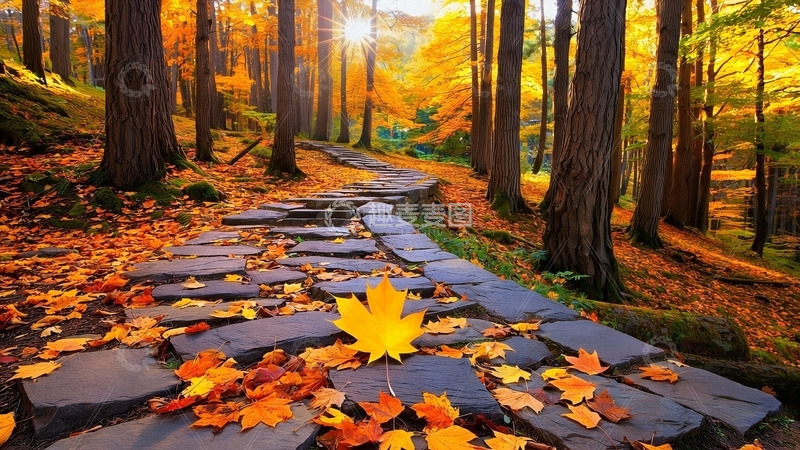 高清大图下载【趣麦麦图】秋天自然风景2