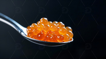 好吃的鱼子酱摄影作品特色美食食品