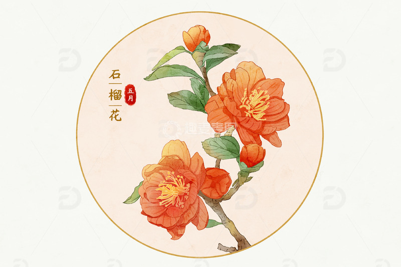 夏天五月石榴花植物花卉