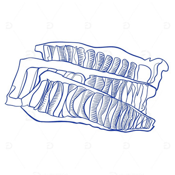 杭州临安区特色特产笋干线稿