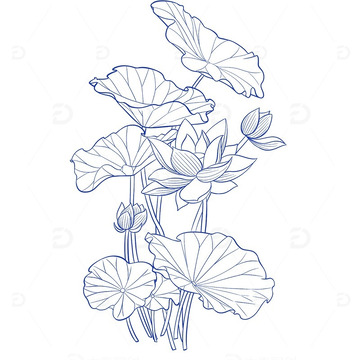 杭州临平区运河街道千亩荷塘