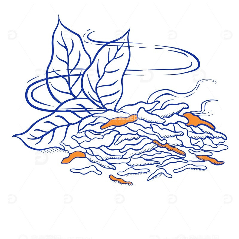 源文件下载【趣麦麦图】杭州富阳区高山云雾茶