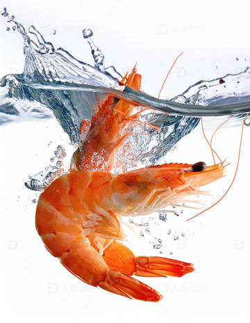 活力四射：鲜虾跃水瞬间3