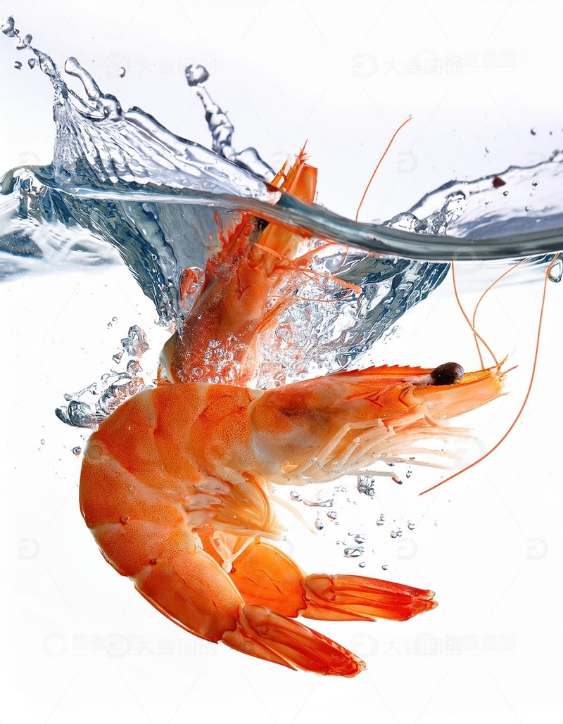 高清大图下载【趣麦麦图】活力四射：鲜虾跃水瞬间3