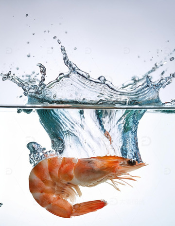 活力四射：鲜虾跃水瞬间5