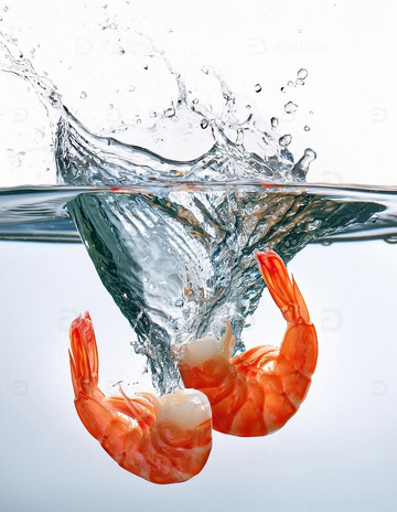 活力四射：鲜虾跃水瞬间2