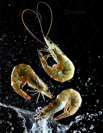 暗夜精灵：虾的水中芭蕾