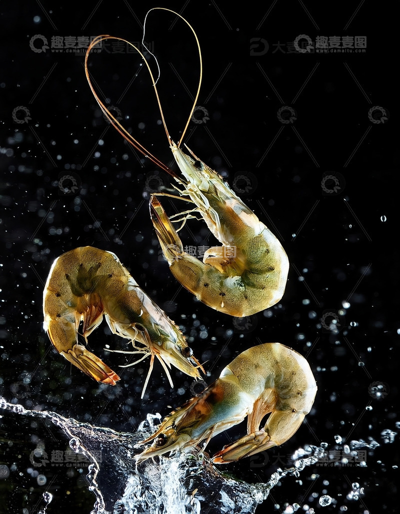 高清大图下载【趣麦麦图】暗夜精灵：虾的水中芭蕾
