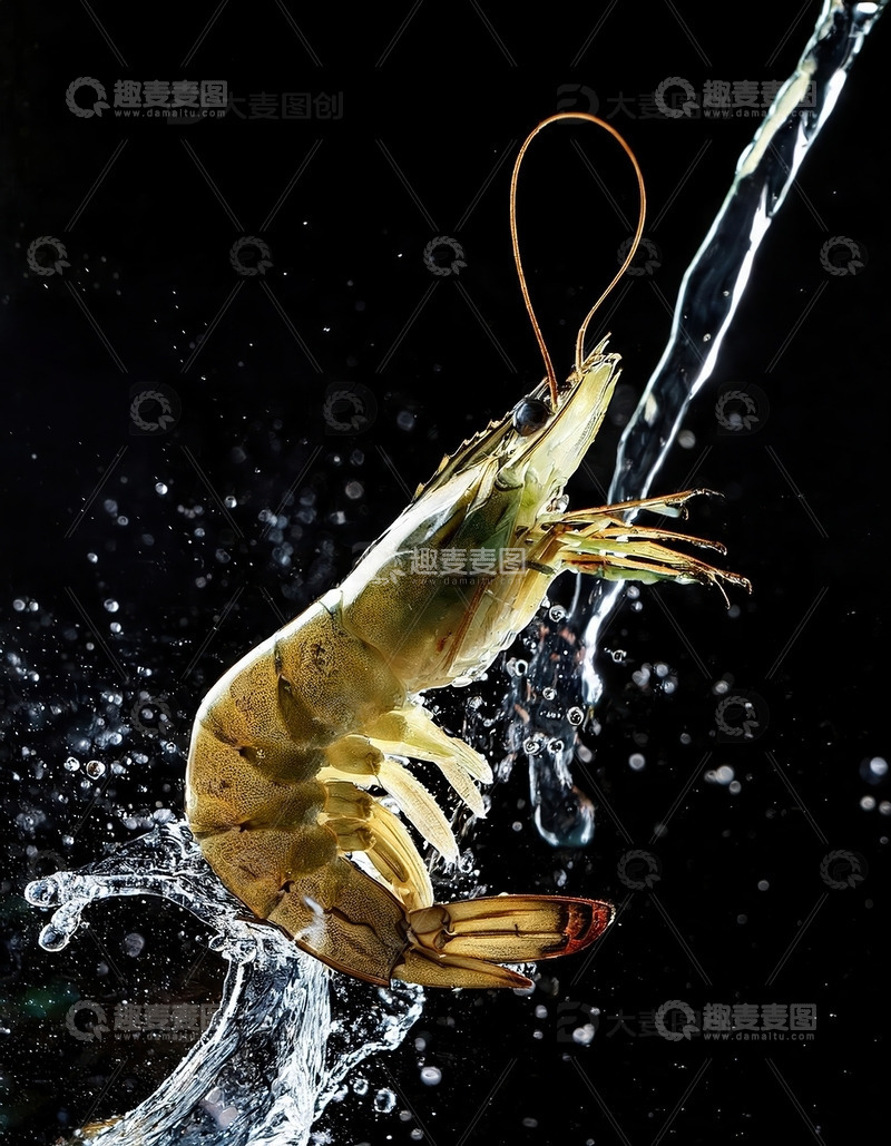 高清大图下载【趣麦麦图】暗夜精灵：虾的水中芭蕾2