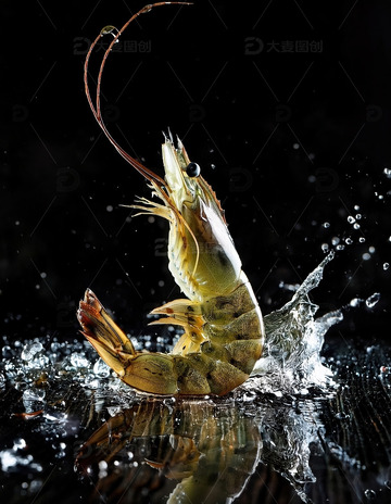 水珠溅射跳动的基围虾