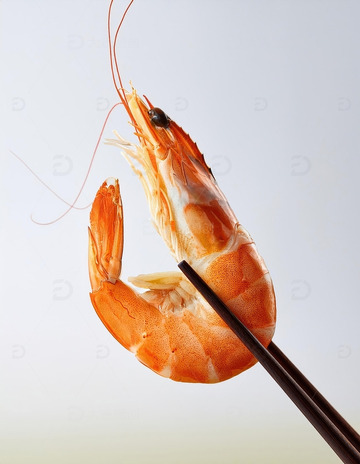 东方美食：筷子与虾的和谐2