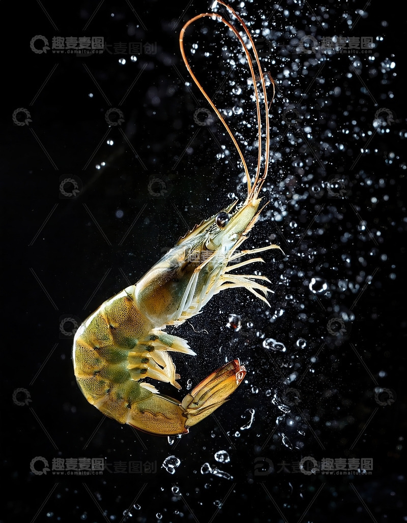 高清大图下载【趣麦麦图】暗夜精灵：虾的水中芭蕾4
