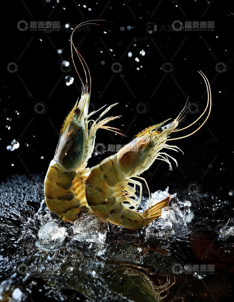 高清大图下载【趣麦麦图】暗夜精灵：虾的水中芭蕾5