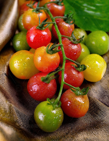 五彩小番茄 - 健康与色彩的盛宴