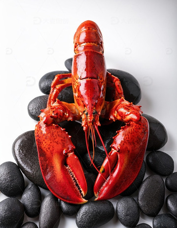 红色海洋珍宝：波士顿龙虾的美味展示10