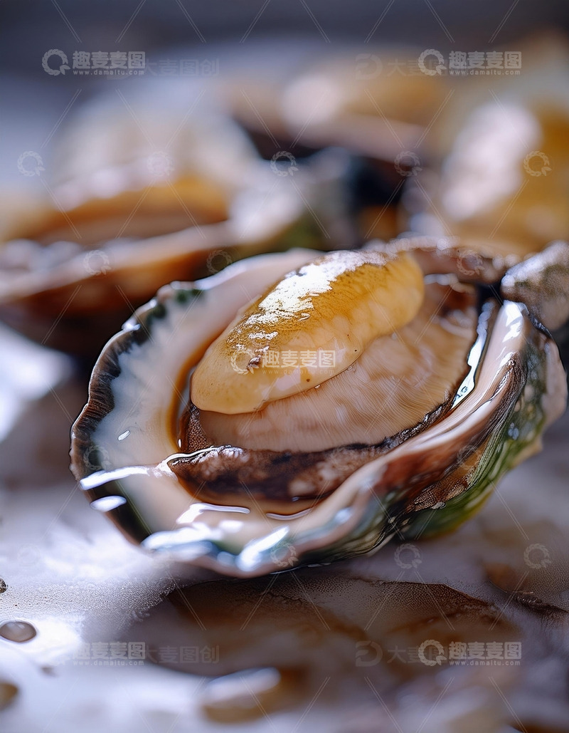 高清大图下载【趣麦麦图】鲍鱼盛宴：海洋的珍贵礼物