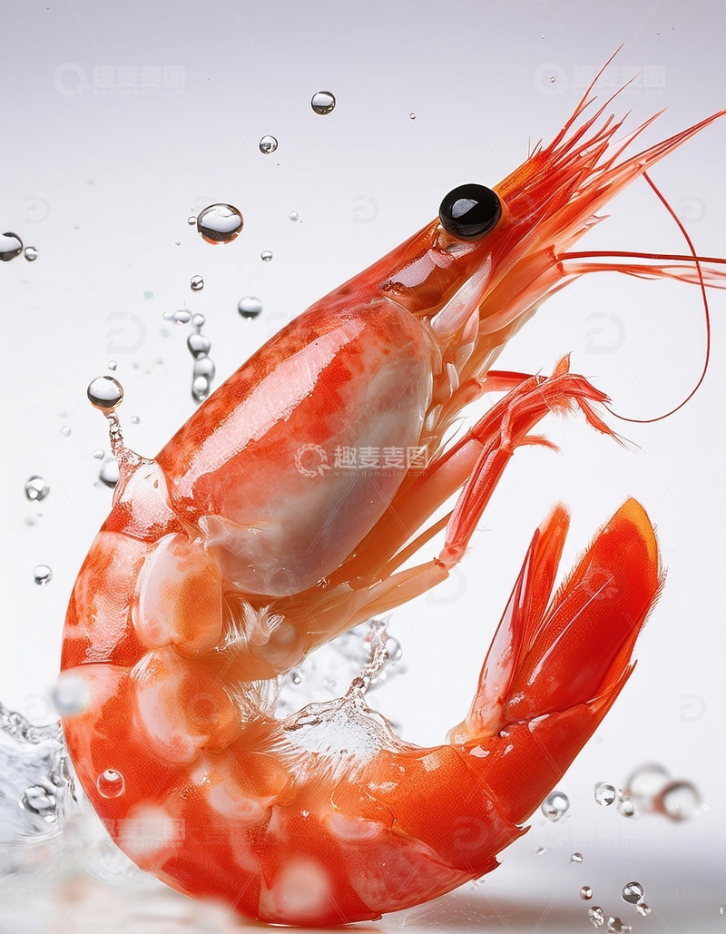 高清大图下载【趣麦麦图】清新美味：白灼虾的简约艺术18
