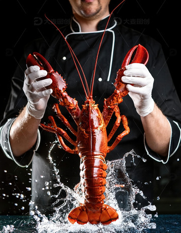 红色海洋珍宝：波士顿龙虾的美味展示11