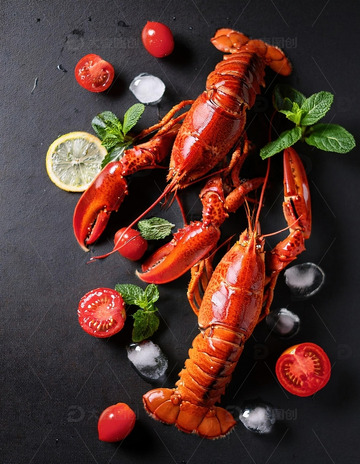 红色海洋珍宝：波士顿龙虾的美味展示18