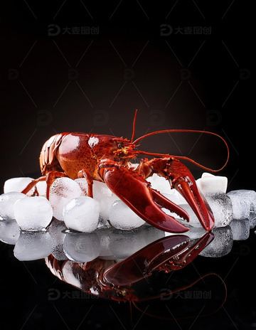 红色海洋珍宝：波士顿龙虾的美味展示21