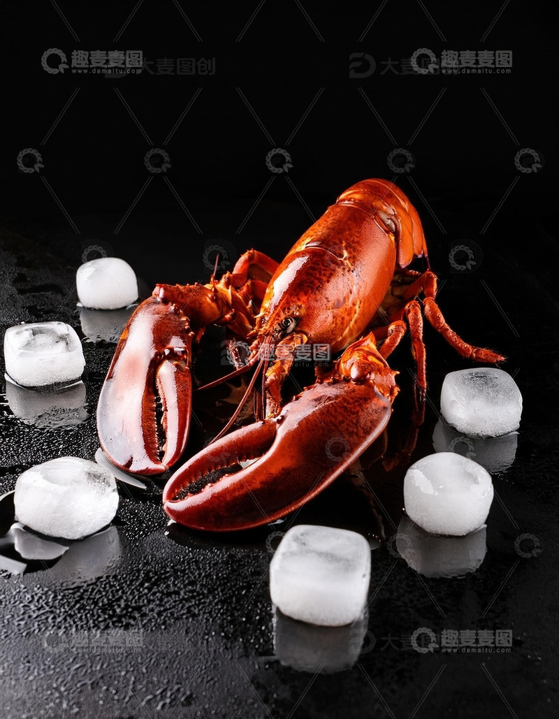 高清大图下载【趣麦麦图】红色海洋珍宝：波士顿龙虾的美味展示20